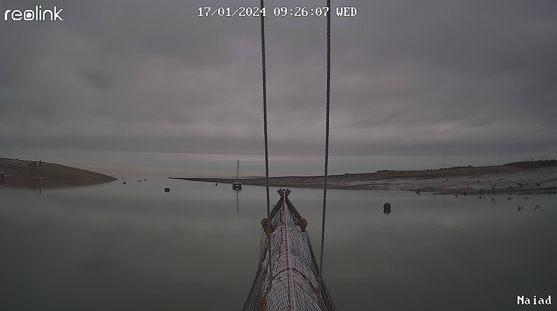 Naiad_live_1705483576819