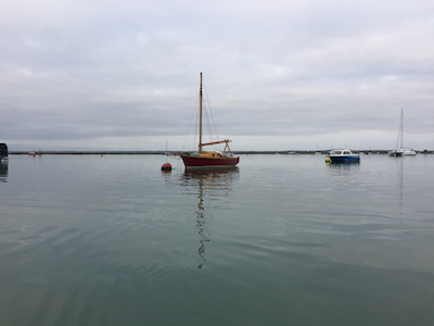 My random banner image