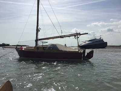 My random banner image