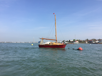 My random banner image