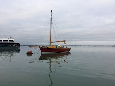 My random banner image