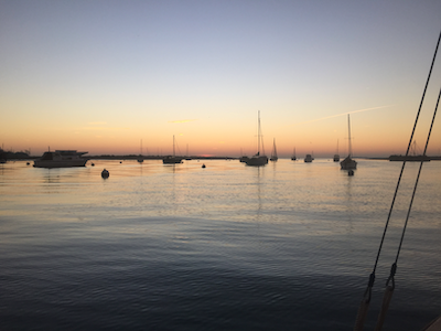 My random banner image